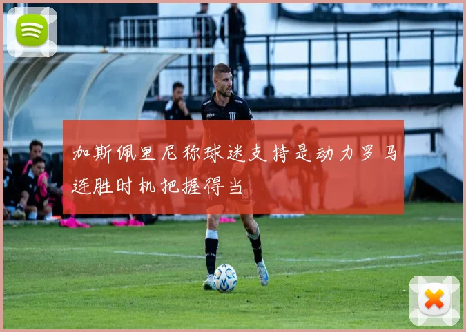 加斯佩里尼称球迷支持是动力罗马连胜时机把握得当
