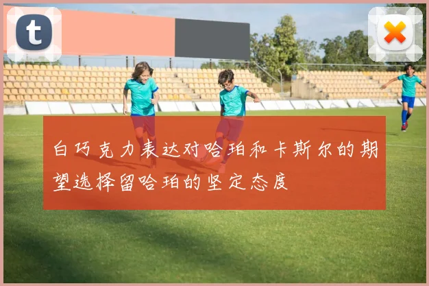 白巧克力表达对哈珀和卡斯尔的期望选择留哈珀的坚定态度